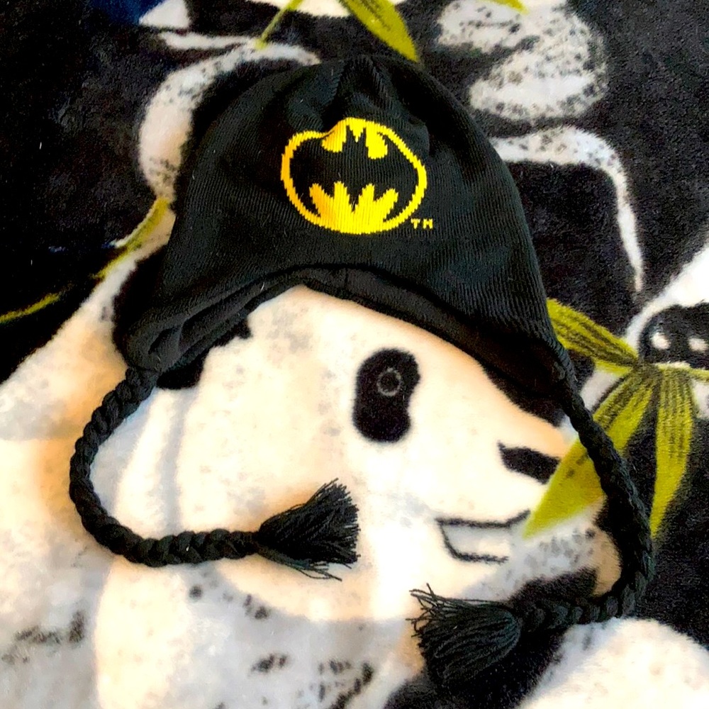 Batman Winter Hat